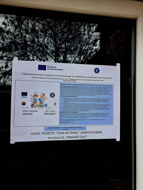 Tichete sociale structura scoala primara Ciolt